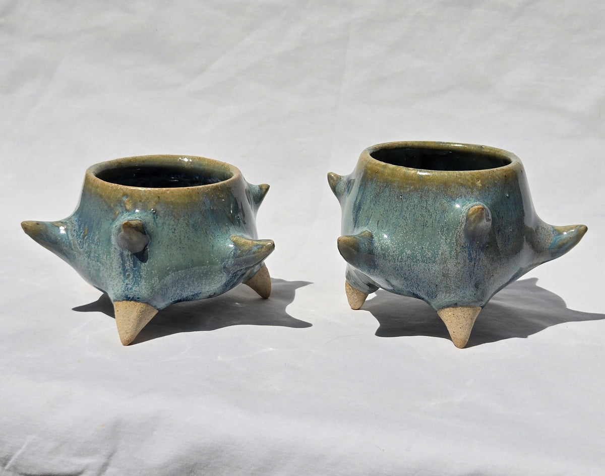 Cups
