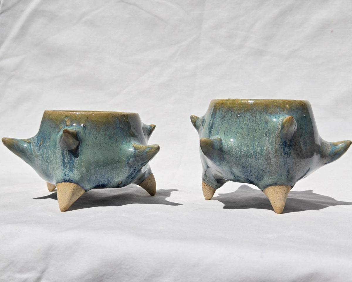Cups