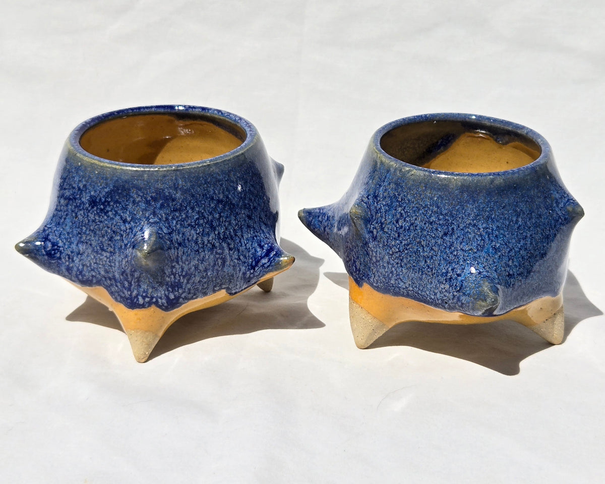 Cups