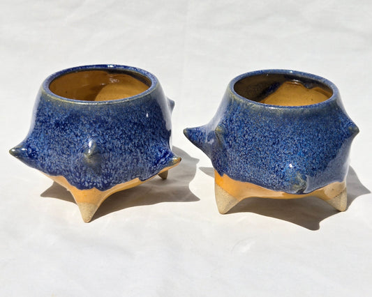Cups