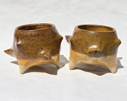 Cups