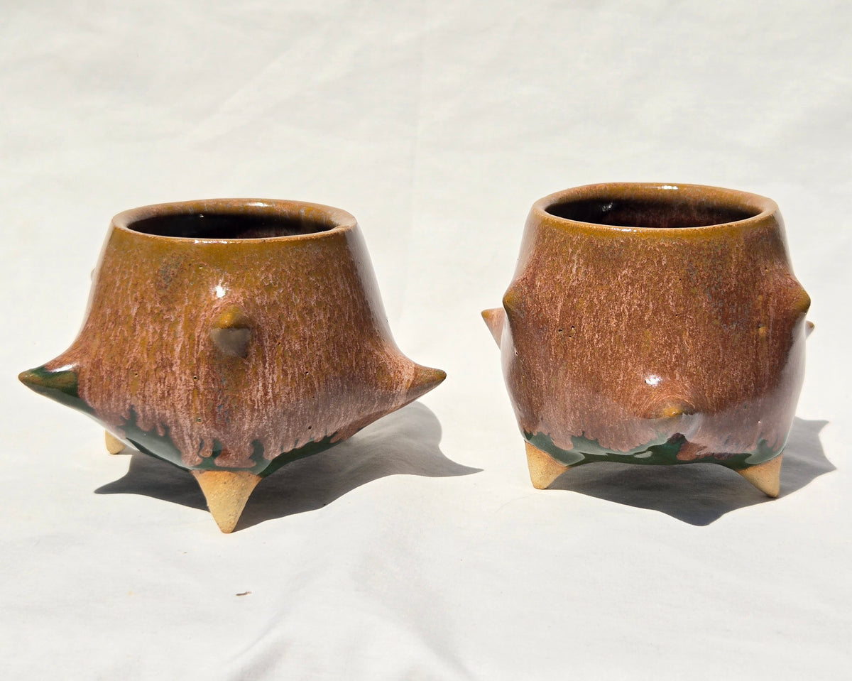 Cups