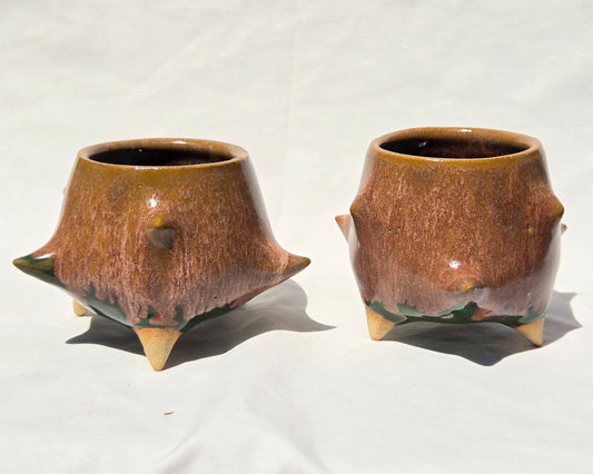 Cups