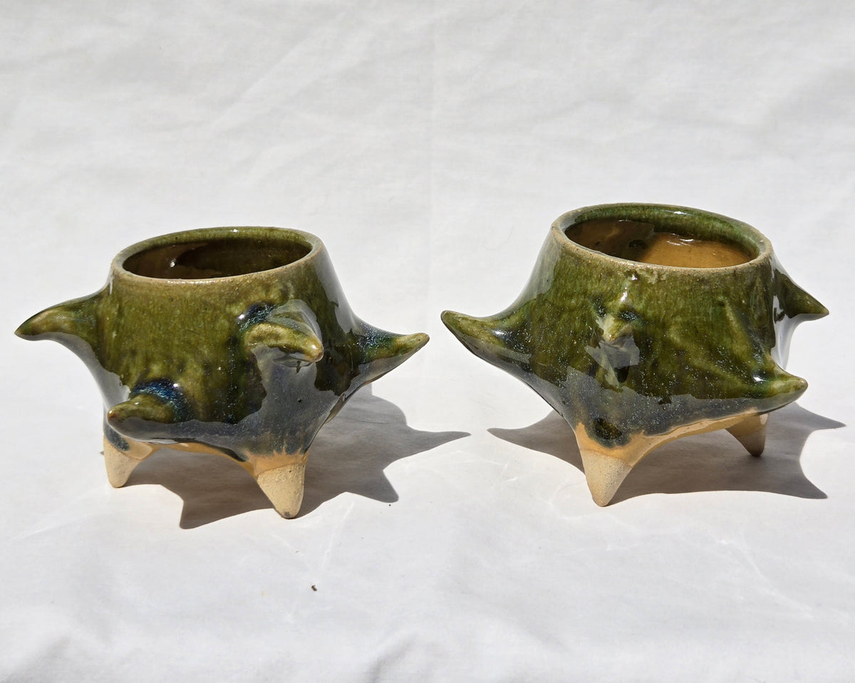 Cups