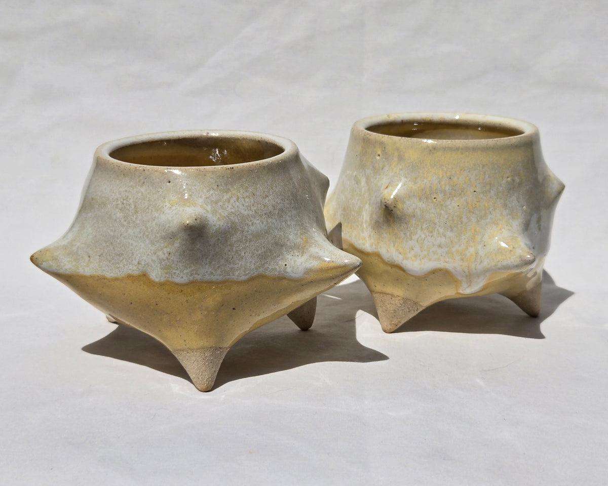Cups