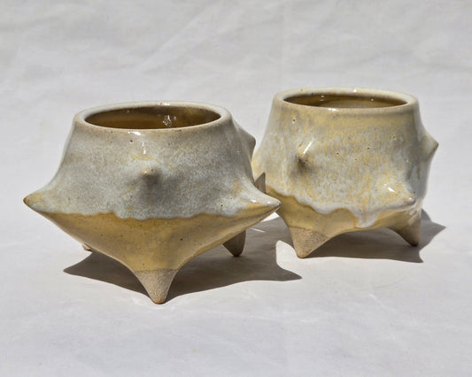 Cups