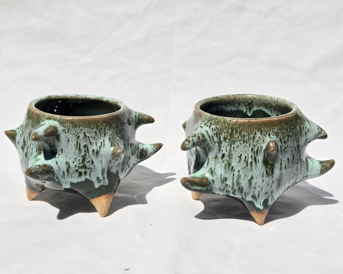 Cups