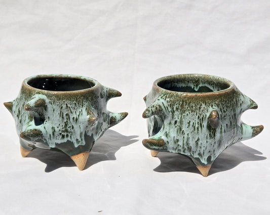 Cups