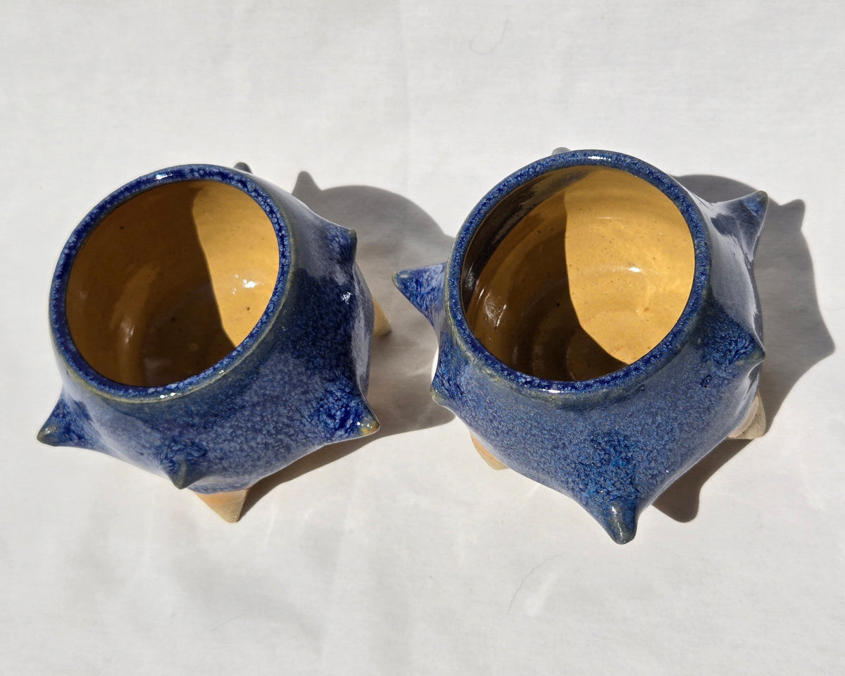 Cups