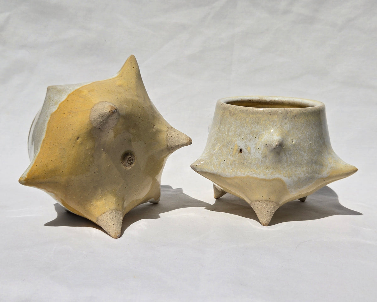 Cups