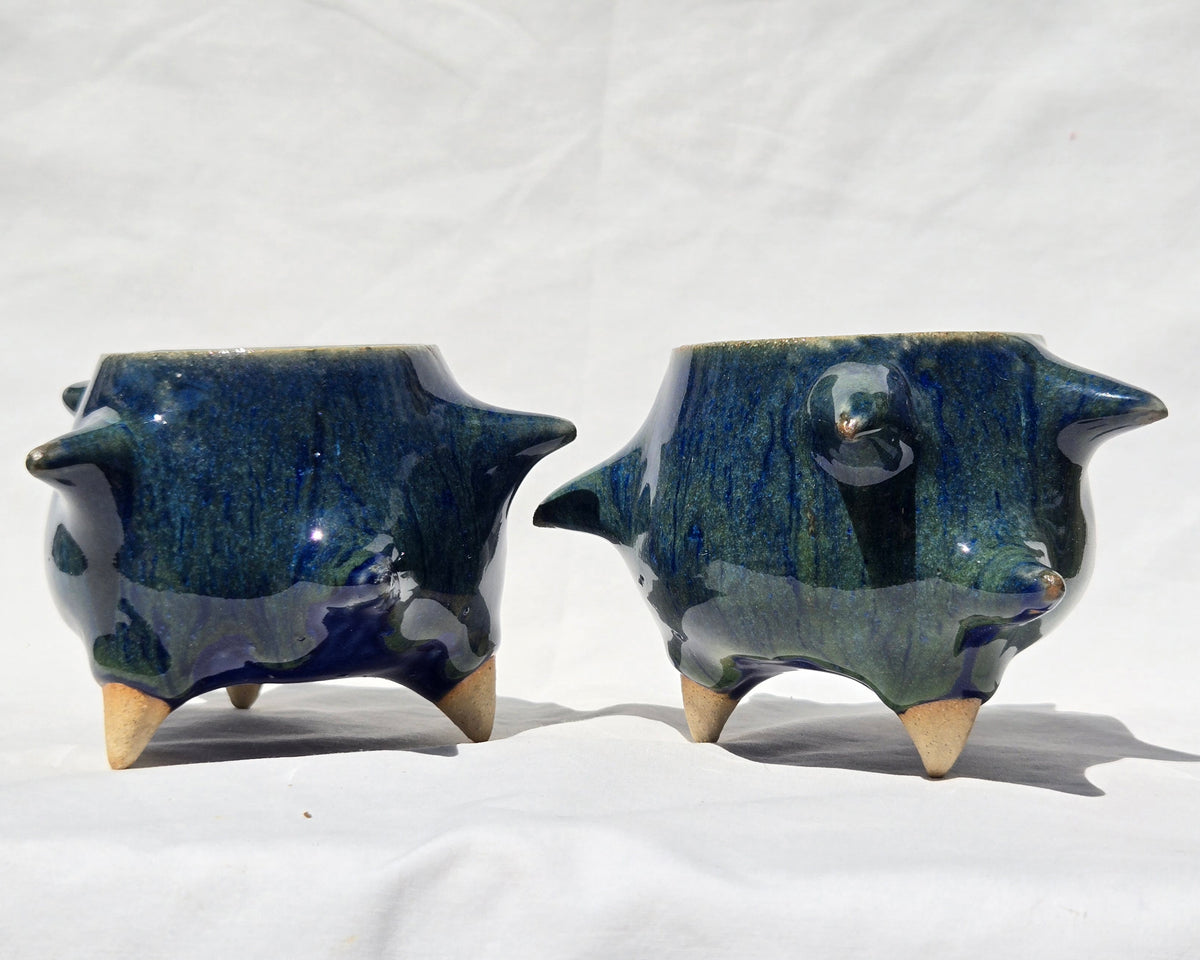 Cups